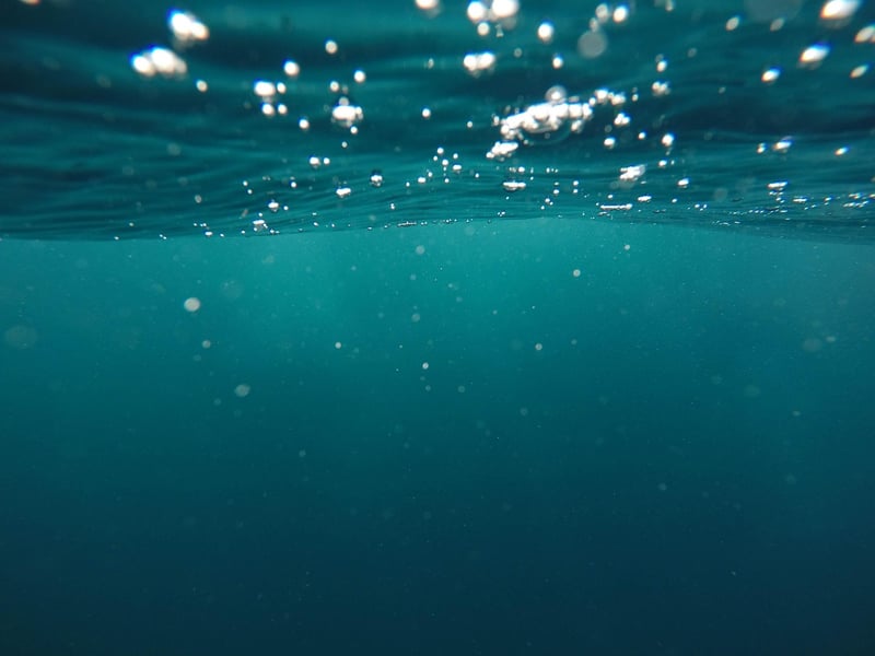 Diving Adventures